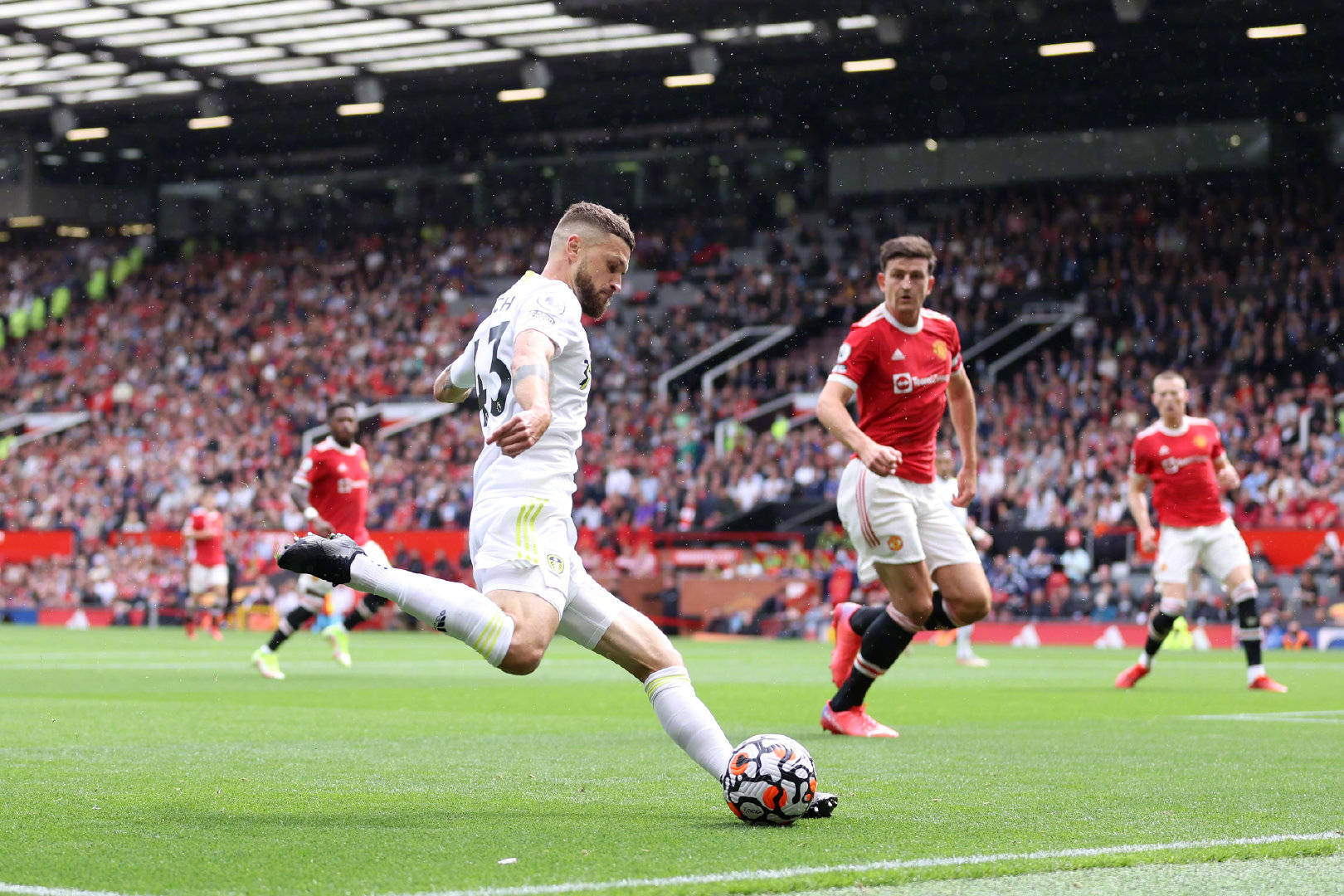 的世界里 的世界里